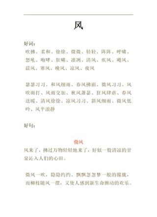 专门摘抄好词好句的软件，好词好句摘抄神器软件