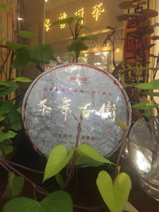 因缘而聚因情而暖