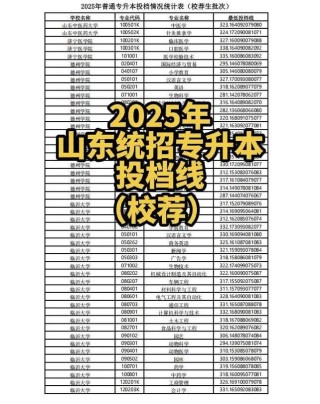 2025年山东职业学院在广东录取分数线是多少（2025~2023近三年分数位次）