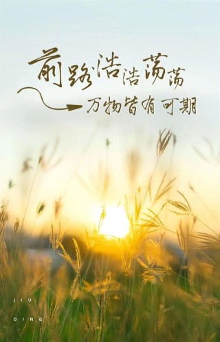 阳光挡不住感伤