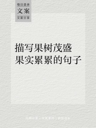 果子语录：一百零四