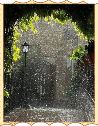 秋雨，在迷乱的思绪中飞扬