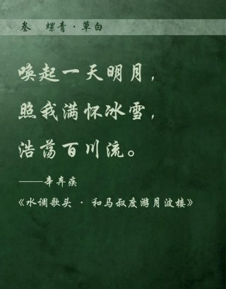 五月情。又是一年槐月飘香时