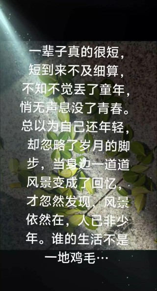 记忆如珠，散落一地