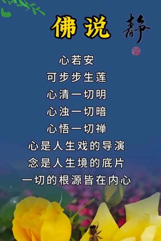 佛语禅心净化心灵，佛语禅心，净化心灵之旅