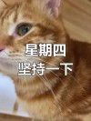 每个星期 周四是我最疲惫的时候