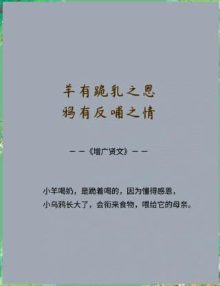 感恩的千古名句，感恩的千古名句，滴水之恩，当涌泉相报。