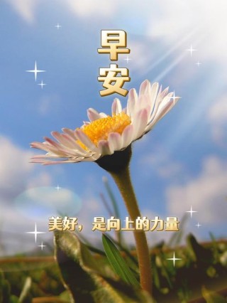 想要的美好，总在未来