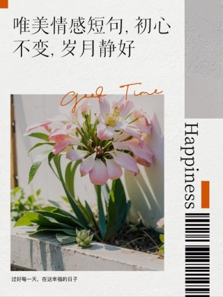 愿岁月静好，温暖如初