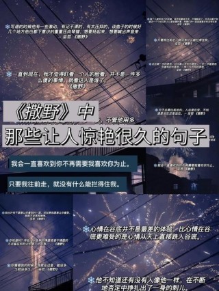 《撒野》中用于早安打卡的励志语录，这句用的人最多