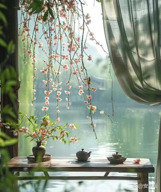 追求淡然恬静的生活