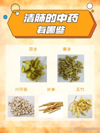 清嗓子 （打中药名一）