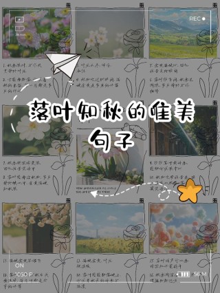 落叶知秋到，谁言不美好