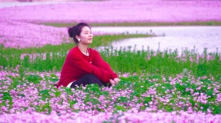 紫花坪的女人
