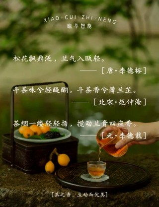 诗意满满的8首“茶”诗，不同的“茶”，写尽不同的心境和人生