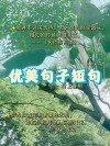 100句顶级绝美短句，顶级绝美短句精选100句