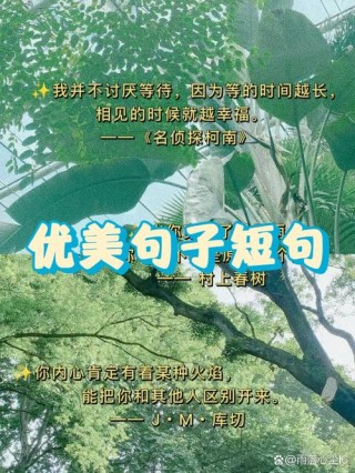 100句顶级绝美短句，顶级绝美短句精选100句