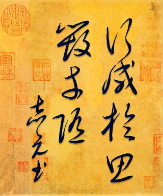 谋定而后动 （打一成语）