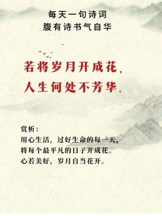 花开即会花落，但梦依旧在