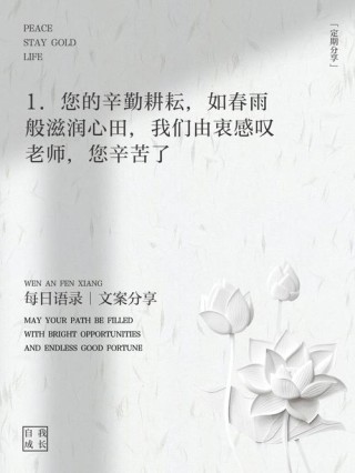 关于赞美老师的名言名句，赞美老师，名言名句中的教育之光