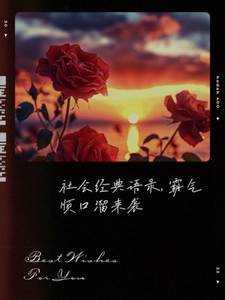 2022社会语录（句句经典）