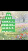 四月：梨花落，春欲晚，花事荼蘼，彼岸无期，闺中风暖，陌上草薰