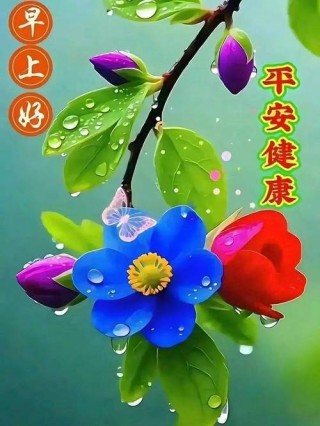 幸福暖心的早上好祝福美图美句，愿你每一天，都幸福徜徉