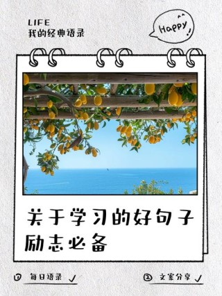 这些标语口号，一起转发学习！