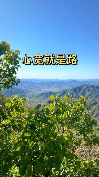 有宽就有路，有容就有度