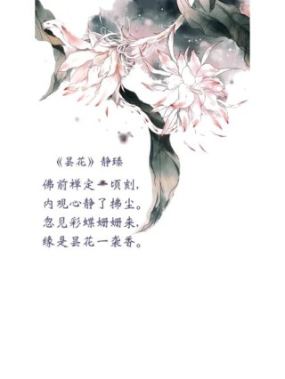 繁花如歌，净若琉璃。