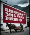 世上有人知道你牛过，我算一个
