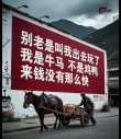 世上有人知道你牛过，我算一个