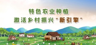 稻田养鱼:打造该村金字招牌,助力村民脱贫致富