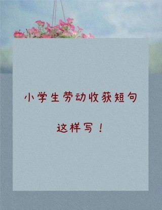 劳动的名言名句，劳动的珍贵名言，劳动创造美好，勤奋铸就辉煌。