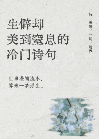 很小众却很惊艳的诗，惊艳的小众诗篇，微光中的诗韵