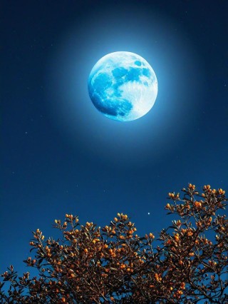 月光明媚的夜晚