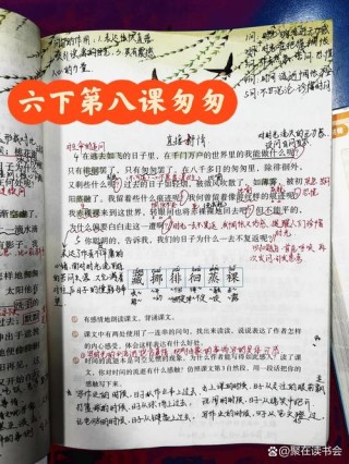 部编版六年级语文下册第八课《匆匆》知识点及课堂测试题
