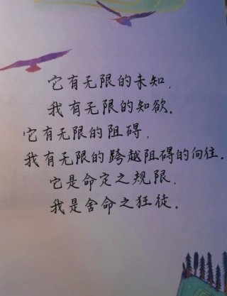 人生哲学经典名言名句，人生哲学经典名言名句，智慧与生活的启示