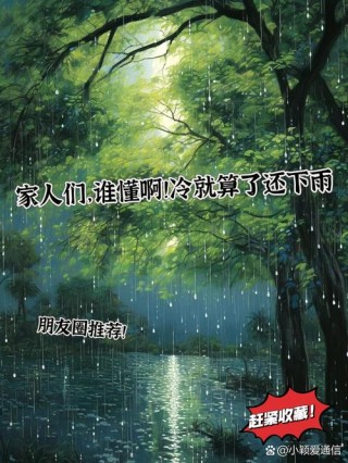 雨天，你是不是我想的人