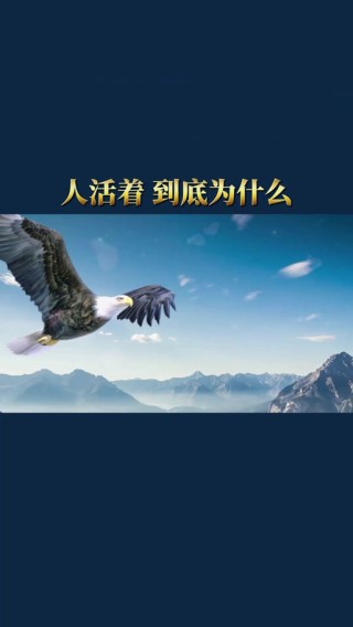 人这辈子该活成什么样子