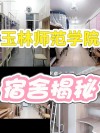 玉林师范学院在辽宁录取分数线、位次、招生人数（2023-2025招生计划）