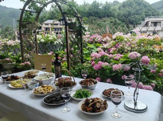 形容鲜花带给人的心情 感受美景赏花拍照享受美食