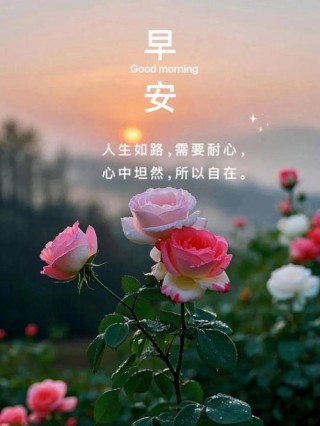 早安心语：苦过，甜过，爱过，恨过，哭过，笑过，才是人生！