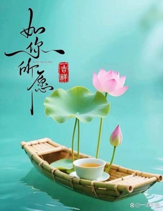 淡淡友谊香