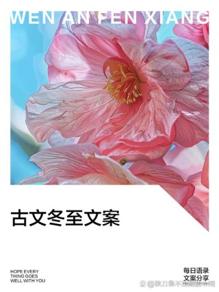 养一朵雪花，与其煮酒话桑麻