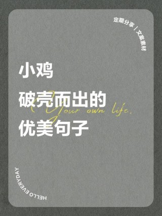 各种鸡你太美短句（赞美鸡的句子或段落）