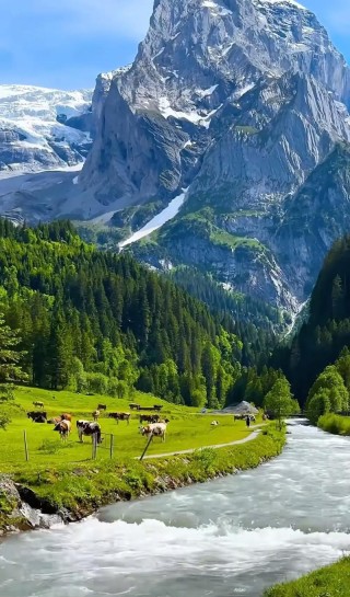 近处有风景，何须去远游