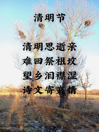清明节思念亲人最佳句子 思念亲人逝去的短句