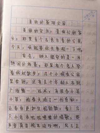 作文素材：描写公园的优美句子，孩子作文肯定用得上！