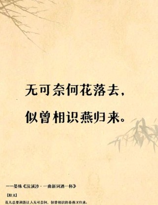 平如美棠：天涯地角有穷时，只有相思无尽处